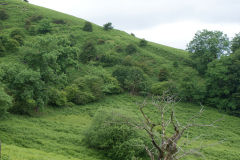
Hills Tramroad to Llanfoist, top incline, June 2009